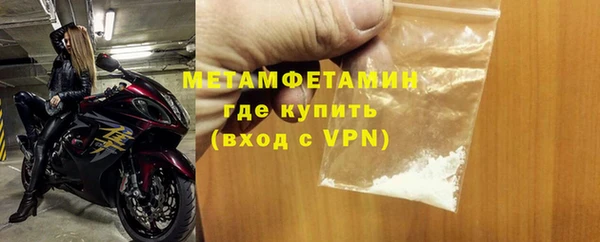индика Богданович