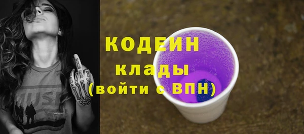 индика Богданович