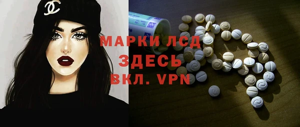 индика Богданович