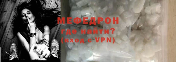 индика Богданович