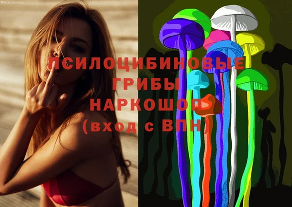индика Богданович