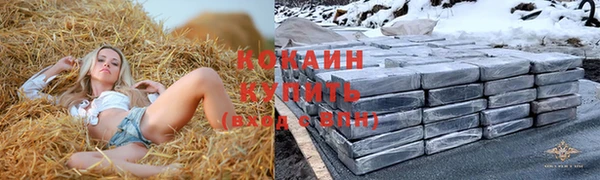 мдпв Белокуриха