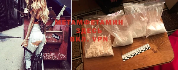 индика Богданович