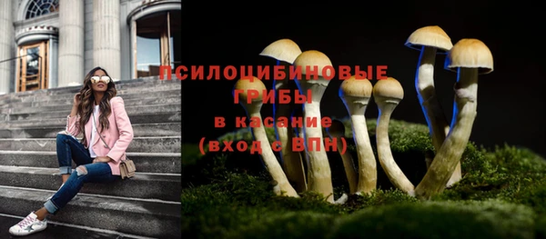 PSILOCYBIN Богородицк