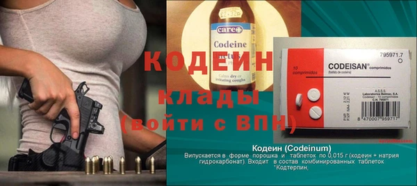 индика Богданович