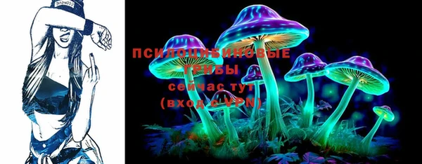 индика Богданович